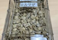 フィリピン　カルサダ1